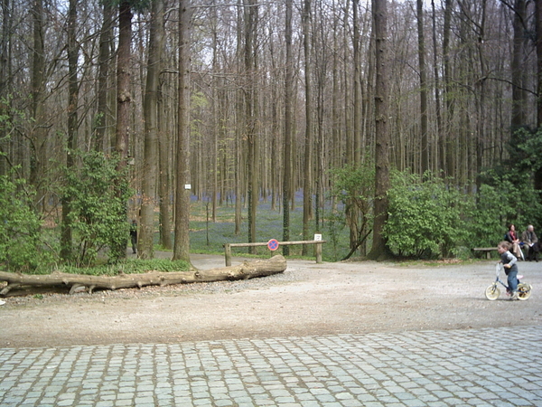 PICT0026