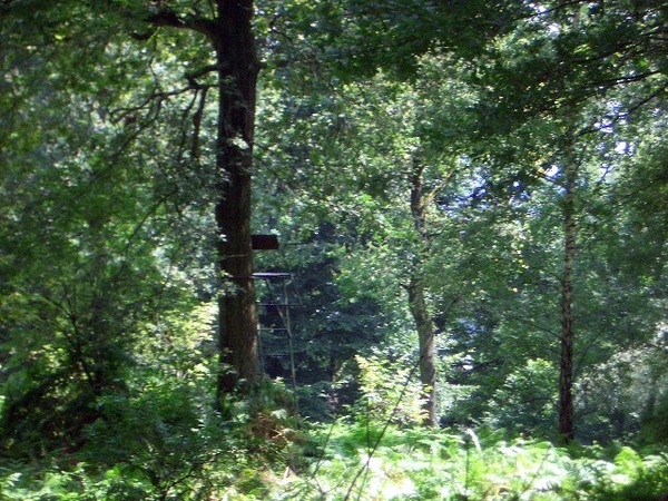 vogel uitkijkpost