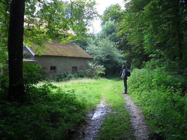 verlaten hoeve in het bos