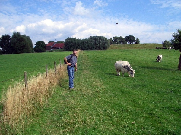 de wandelweg loopt door de weilanden