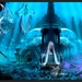 Onderwaterwereld2