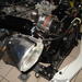 geit 029