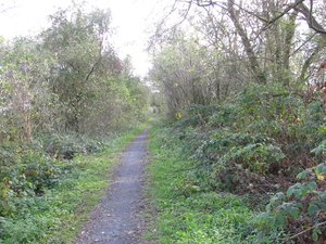 Avelgem de oude spoorweg