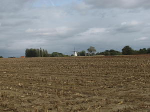 Ingooigem met molen van Tiegem