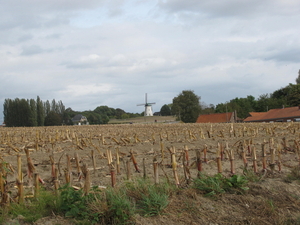 Molen te Tiegem