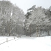 winter 2008-12