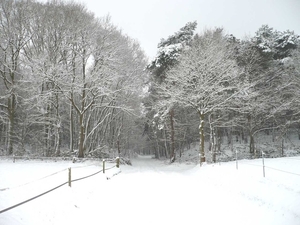 winter 2008-12