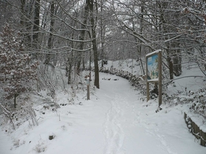 winter 2008-16
