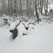 winter 2008-21