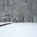 winter 2008-9