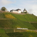 Moezel 034