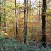 6Neuerburg 028