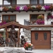 st. Anton  Arelber  Tirol  27 - 7- 2008  T0T   5 - 8 -2008 020