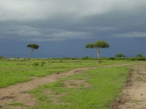 Dreigend onweer