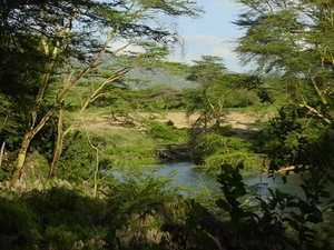 Mzumi springs in Tsavo West