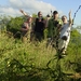 Maria, Mia, Johan en Hugo (poacher's lookout)