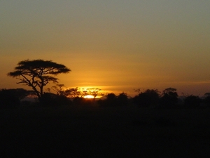 Zonsondergang in Amboseli