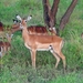 DSC06412_edited-1