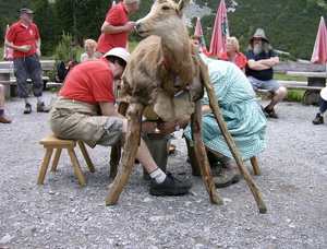 BACH ( lechtal) geiten melken!!!