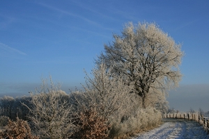 sized_winter 162-b