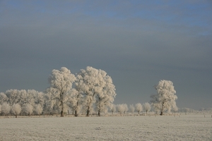 sized_winter 201-b