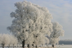 sized_winter 208-b