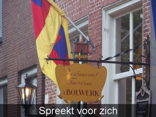 Vlag van Sloten