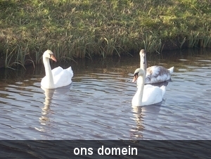 Sloten