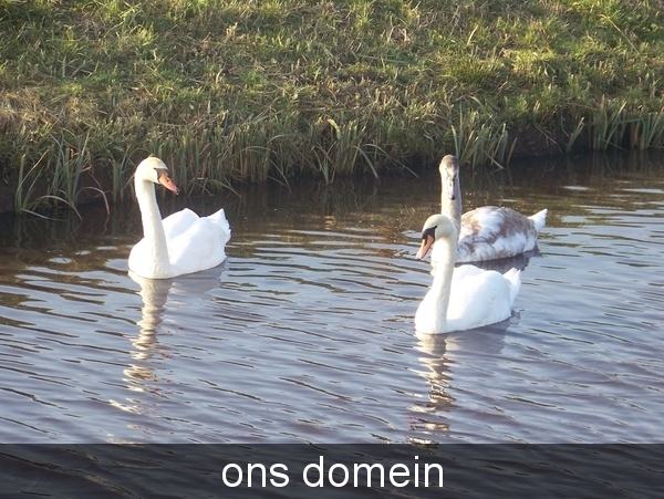 Sloten