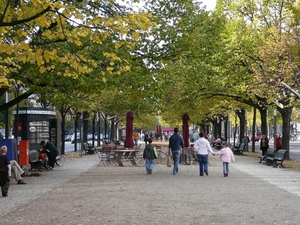 1b  Unter den Linden _lindebomen