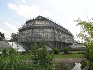 4a Museumcomplex Dahlem _botanischer-garten _grote tropenhuis