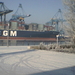 winter in Zeebrugge008