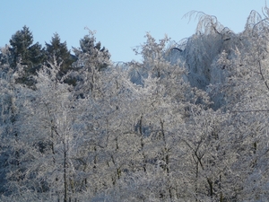 P1010900
