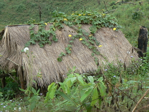 Laos-natuur