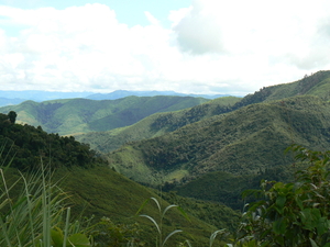 laos - natuur