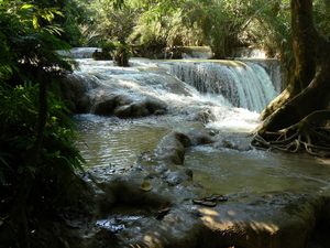 laos - natuur