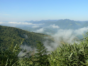 laos - natuur