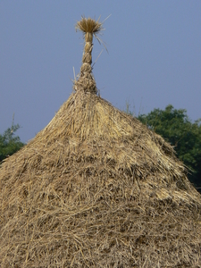 laos - natuur