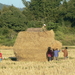 laos - natuur