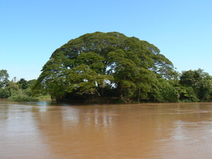 laos - natuur