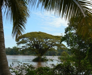 laos - natuur