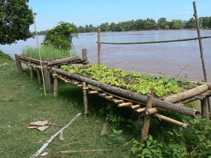 laos - natuur