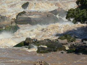 laos - natuur