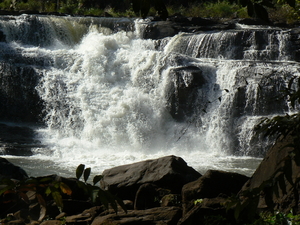 laos - natuur