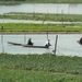 laos - natuur