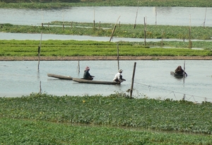 laos - natuur