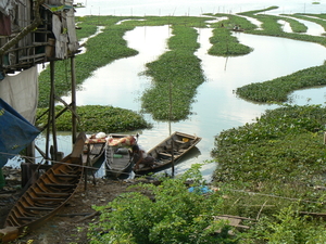 laos - natuur