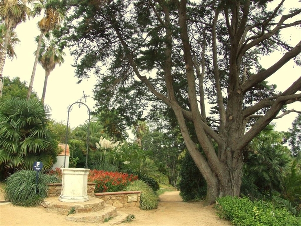 Jardi Botanic Marimurtra