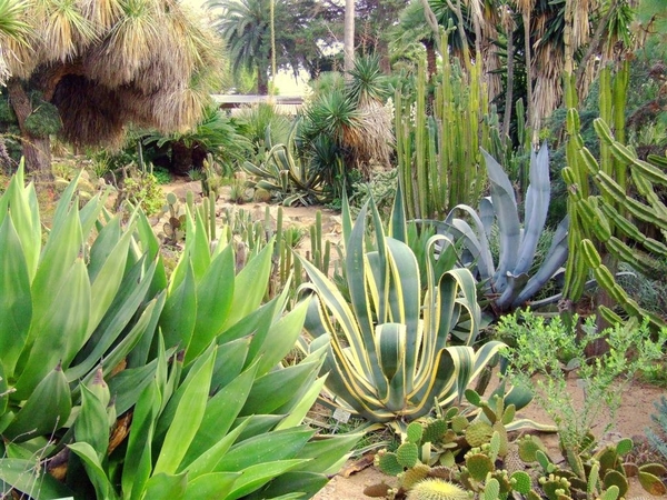 Jardi Botanic Marimurtra