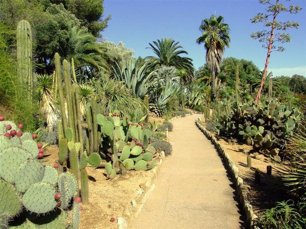 Jardi Botanic Pinya de Rosa